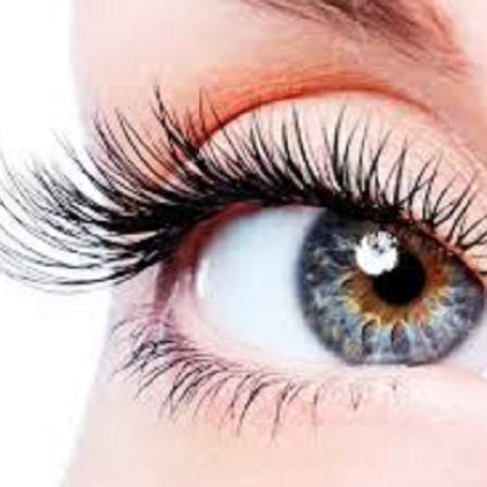 Unlimited Lower Eyelash Extensions \1,000 3,980JPY (excluding tax) → 1,000JPY (excluding tax)