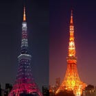 Infinity Diamond Veil / Tanabata-The star festival
