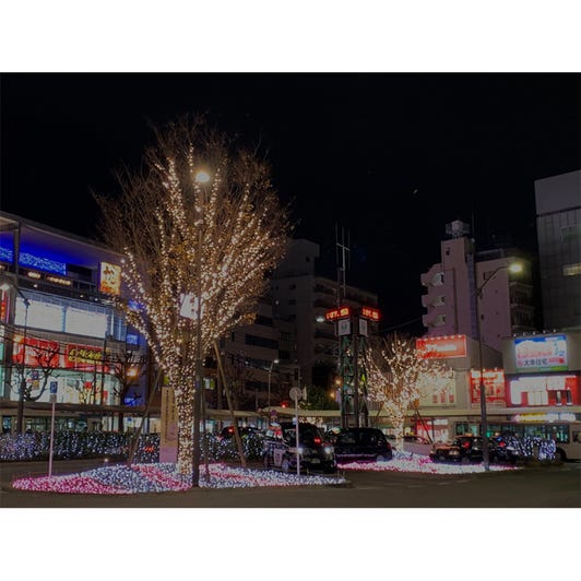 旅遊景點 Live Japan 日本旅遊 文化體驗導覽