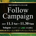 BEST VINTAGE Follow campaign