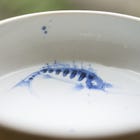 “자유” – 테라우치 신지, 리소 도자기 개인전