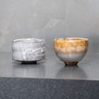 시부야 에이이치와 타하라 타카오 공동 전시: &ldquo;두 가지 관점&rdquo;