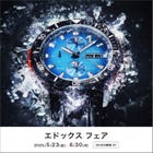 EDOX Fair