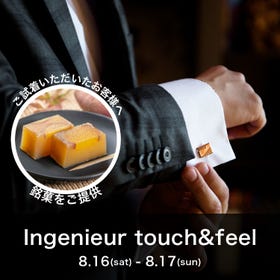 INGENIEUR touch&feel