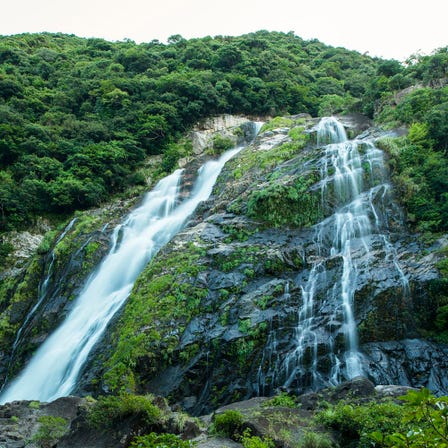 自然遺産