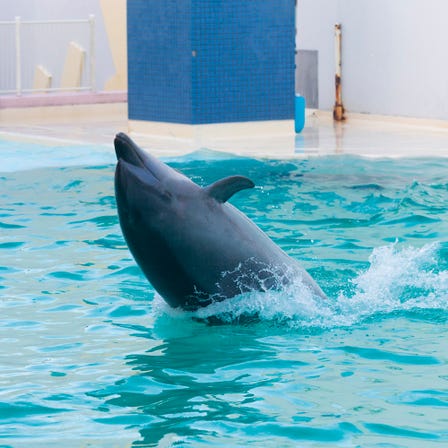 动物园、植物园、水族馆