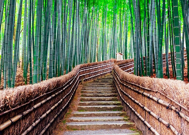 Arashiyama / Uzumasa