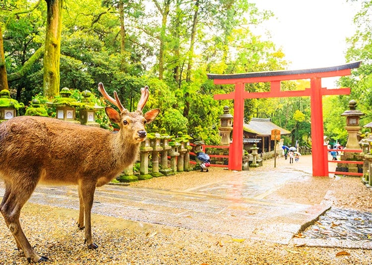 Nara, Ikoma, Tenri
