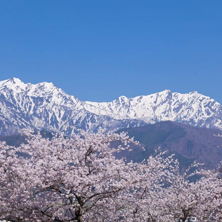 森林、山峰