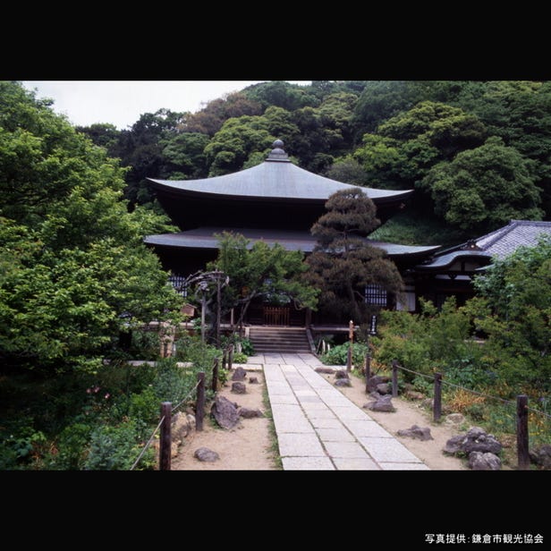 사원