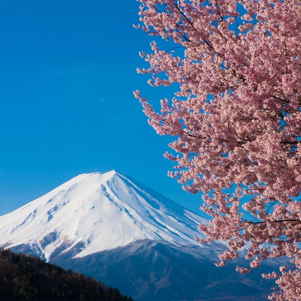 自然景點