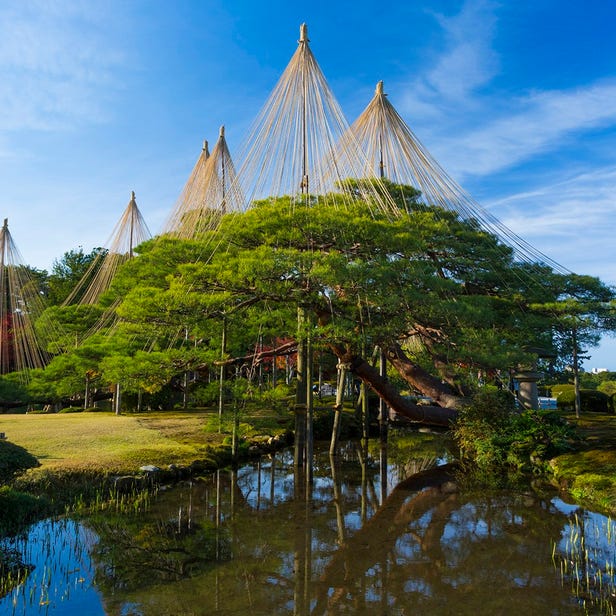 庭院