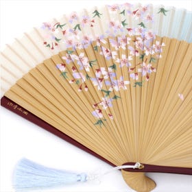 Silk Folding Fan