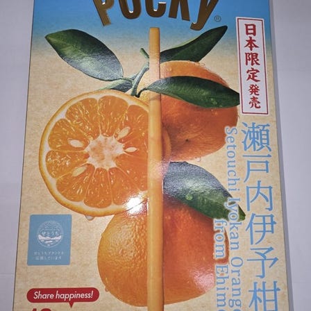 포키 세토우치 이요칸