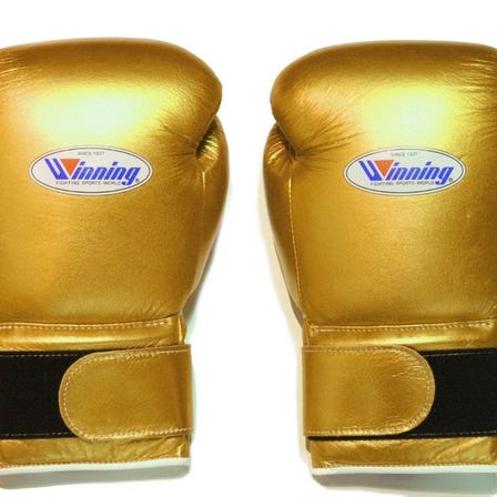 Winning Boxing Gloves