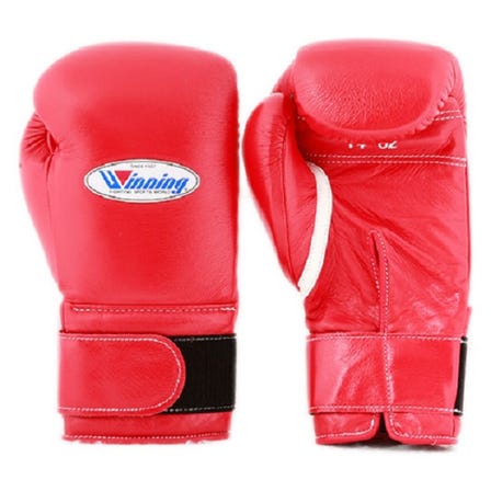Winning Boxing Gloves