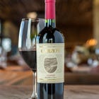 Garzon tannat reserva