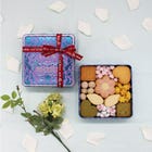 Forest Blessing Cookie Petit Bois White Day Limited Edition Tin