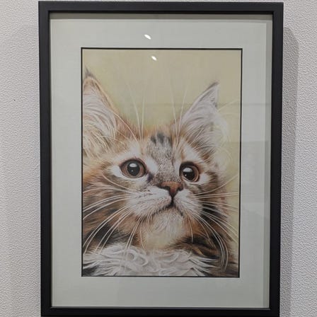 Kaori Iwata "(cat)" (2023)
Colored pencil, pastel, Kent paper
size: A4 29.7cm x 21.0cm
＜currently on display＞