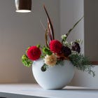 LIFESHELLS Vase LL with Flower Stand