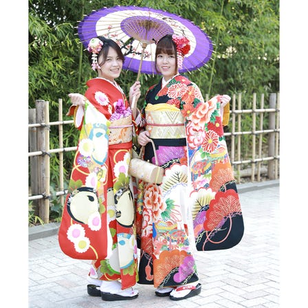 Single-pattern  Furisode Plan (Long-sleeved kimono normally worn by young unmarried women)