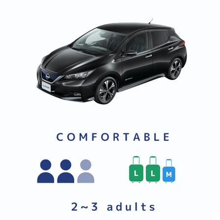 LEAF EV