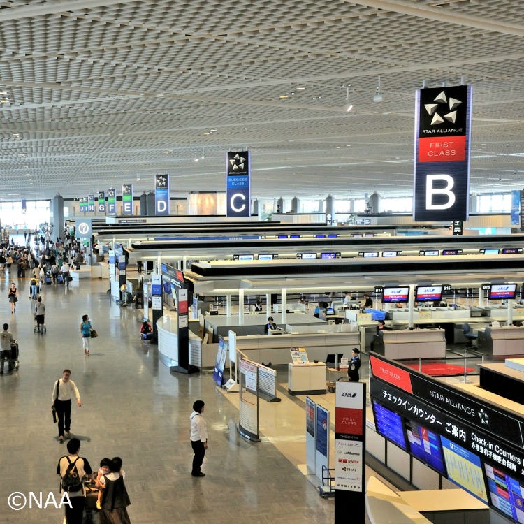 成田国際空港 成田 空港 Live Japan 日本の旅行 観光 体験ガイド 成田国際空港 成田 空港 Live Japan 日本の旅行 観光 体験ガイド