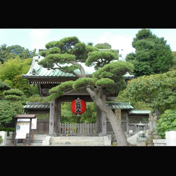 鎌倉 長谷寺