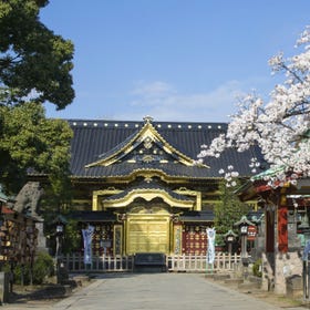 Ueno Toshogu