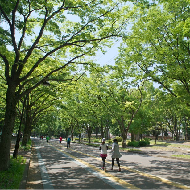 Komazawa Olympic Park
