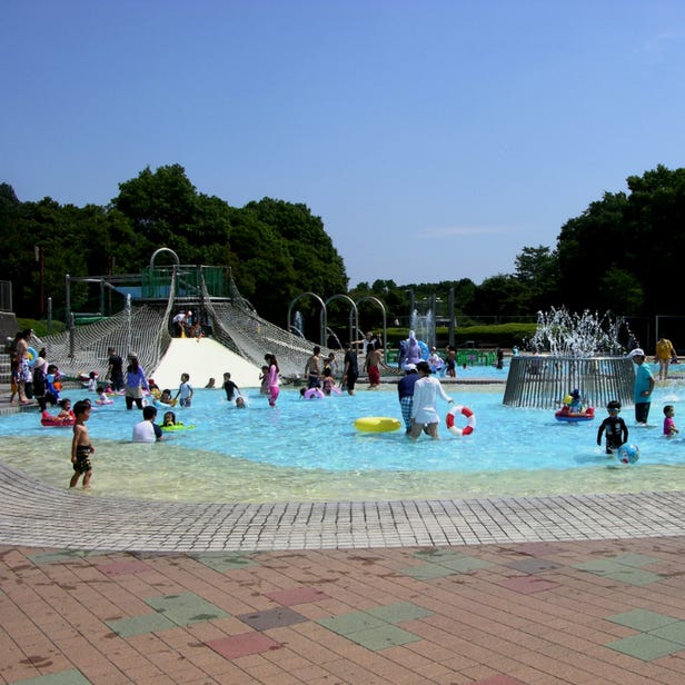 Showa Memorial Park