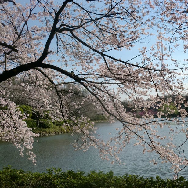 Mitsuike Park
