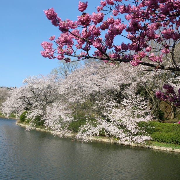 Mitsuike Park