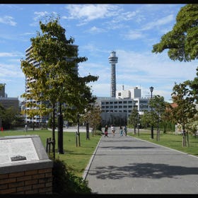 아메리카야마 공원