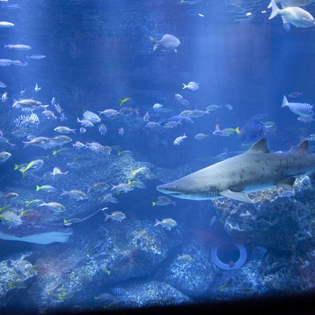 Sumida Aquarium