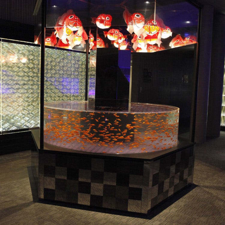 すみだ水族館 (両国・東京スカイツリー(R)|動植物園・水族館) - LIVE