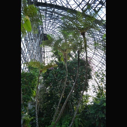 梦之岛热带植物馆