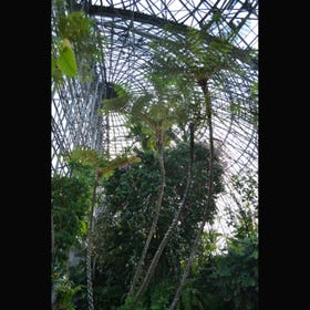 夢の島熱帯植物館