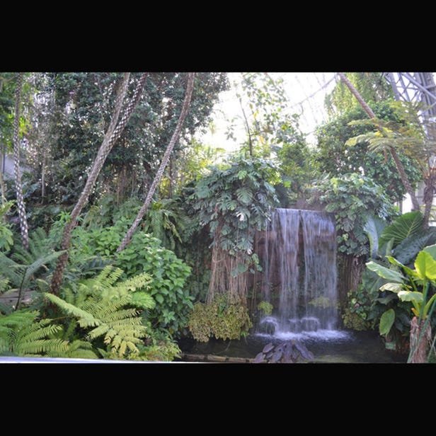 梦之岛热带植物馆