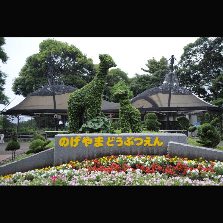 野毛山動物園 港未來 中華街 動物園 植物園 水族館 Live Japan 日本旅遊 文化體驗導覽