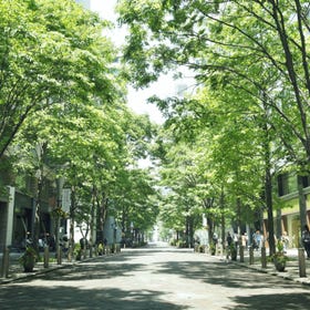 Marunouchi Naka-Dori Street
