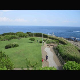 Jogashima Island