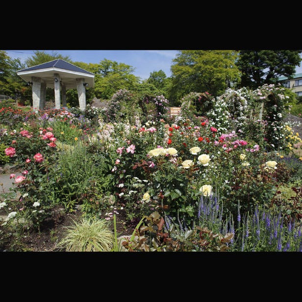 Hakone Gora Park