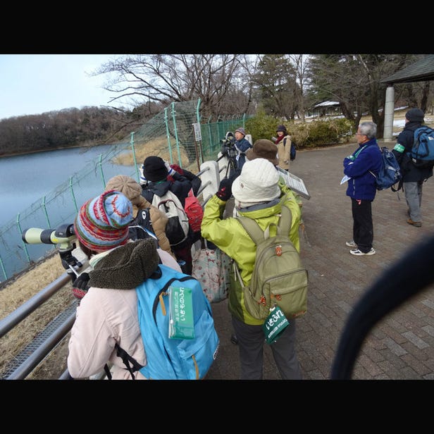 Sayama Hill Flora & Fauna Interaction Center