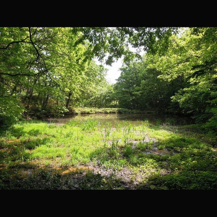 Bodaigi Pond