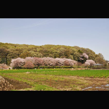 都立八国山緑地