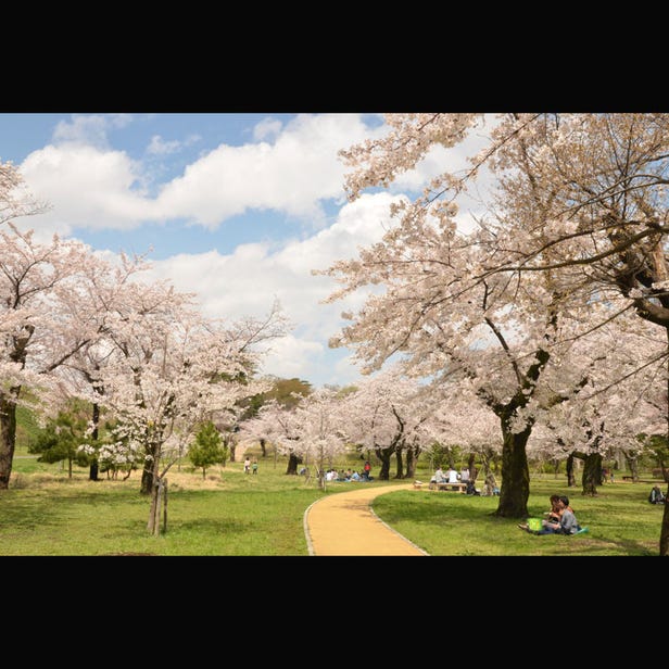 都立狭山公園