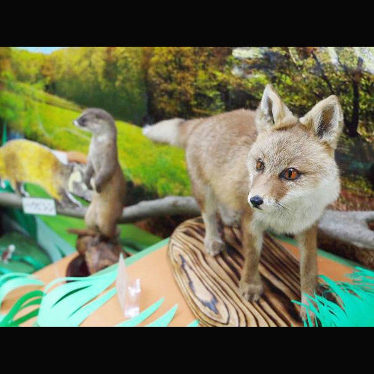 野山北六道山公園 高尾山 公園 Live Japan 日本旅遊 文化體驗導覽