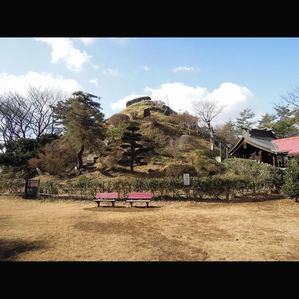 荒幡富士市民の森