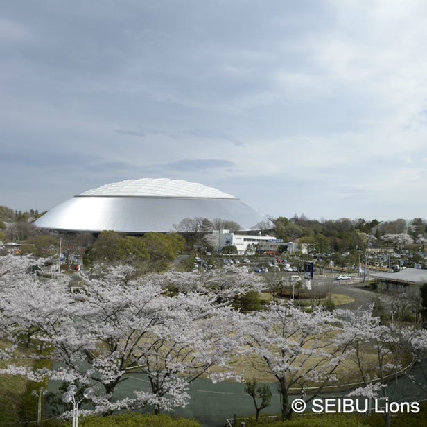 MetLife Dome